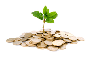 Money Growth Image